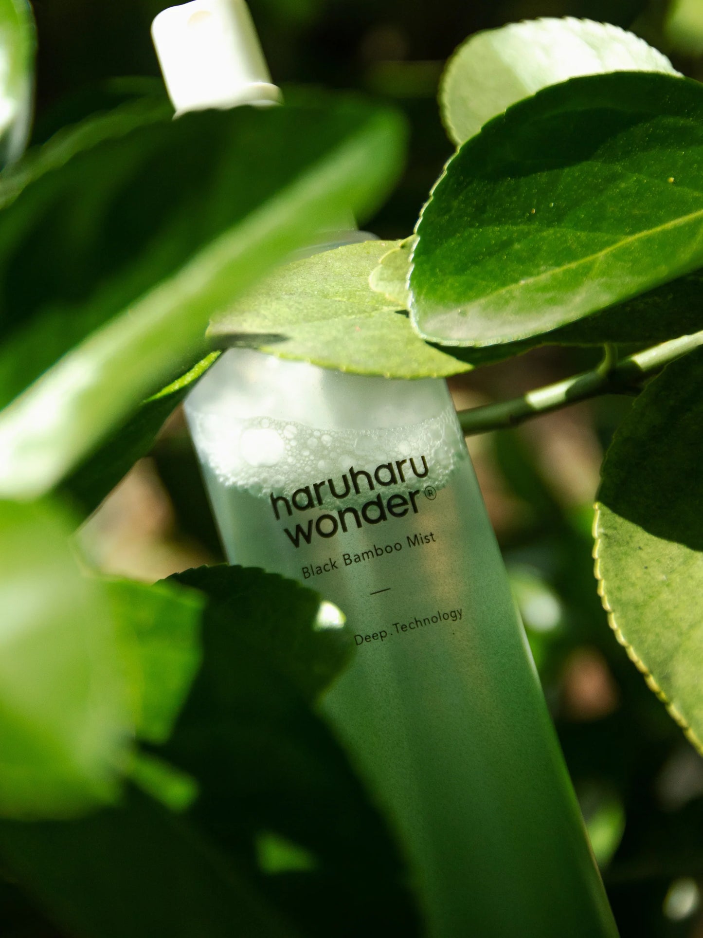 HaruHaru Wonder - Black Bamboo Mist 150ml