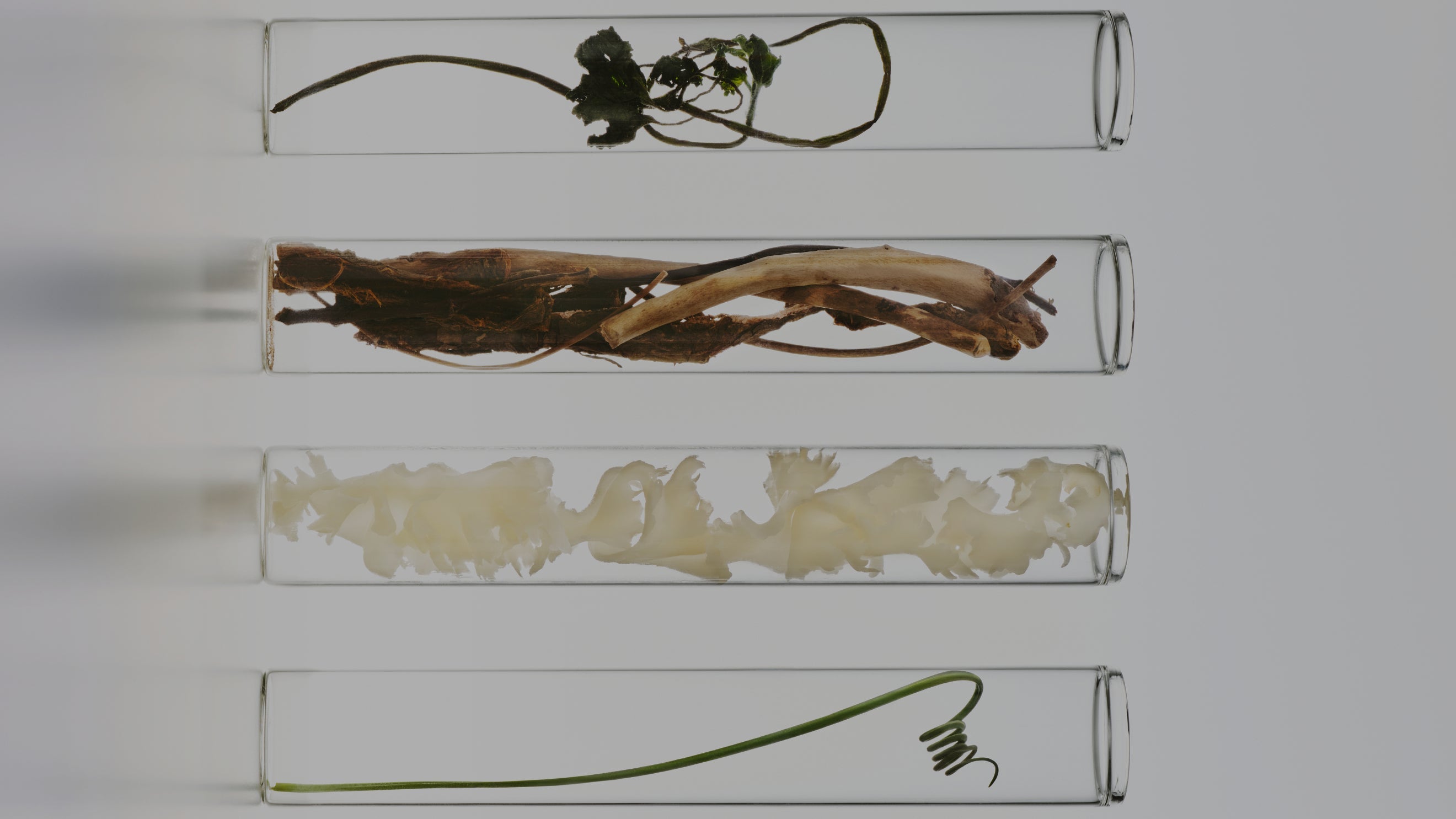 Wrinkles and Sagging